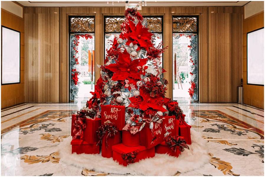 Dịch Vụ Cho Thuê Cây Thông Noel Tại Thủ Đức. Ảnh 3